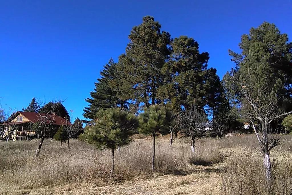Rancho Pitorreal Pension Huichigomachi Buitenkant foto